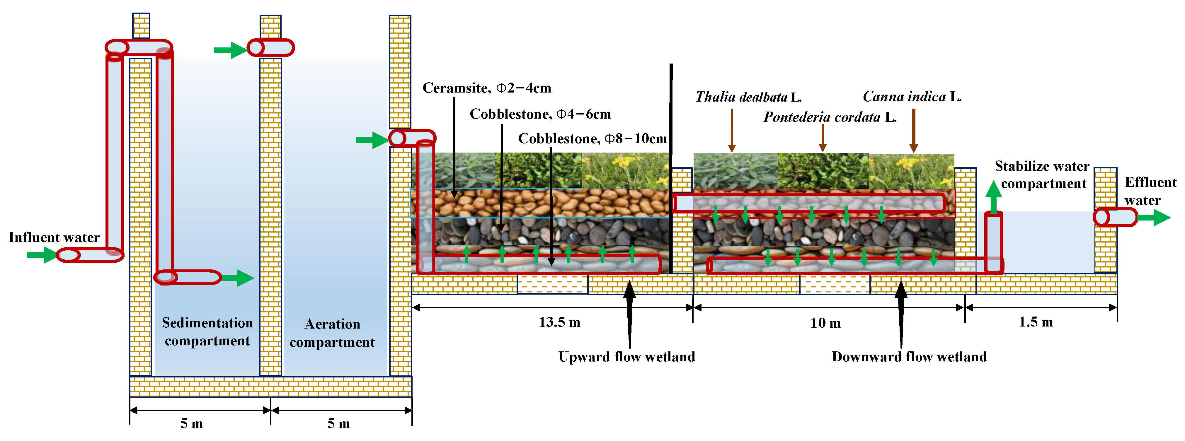 Hệ thống thoát nước ao cá
